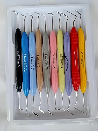 LM Arte Composite Filling Instruments, Silicone Handle, Set of 10, Assorted Multicolors