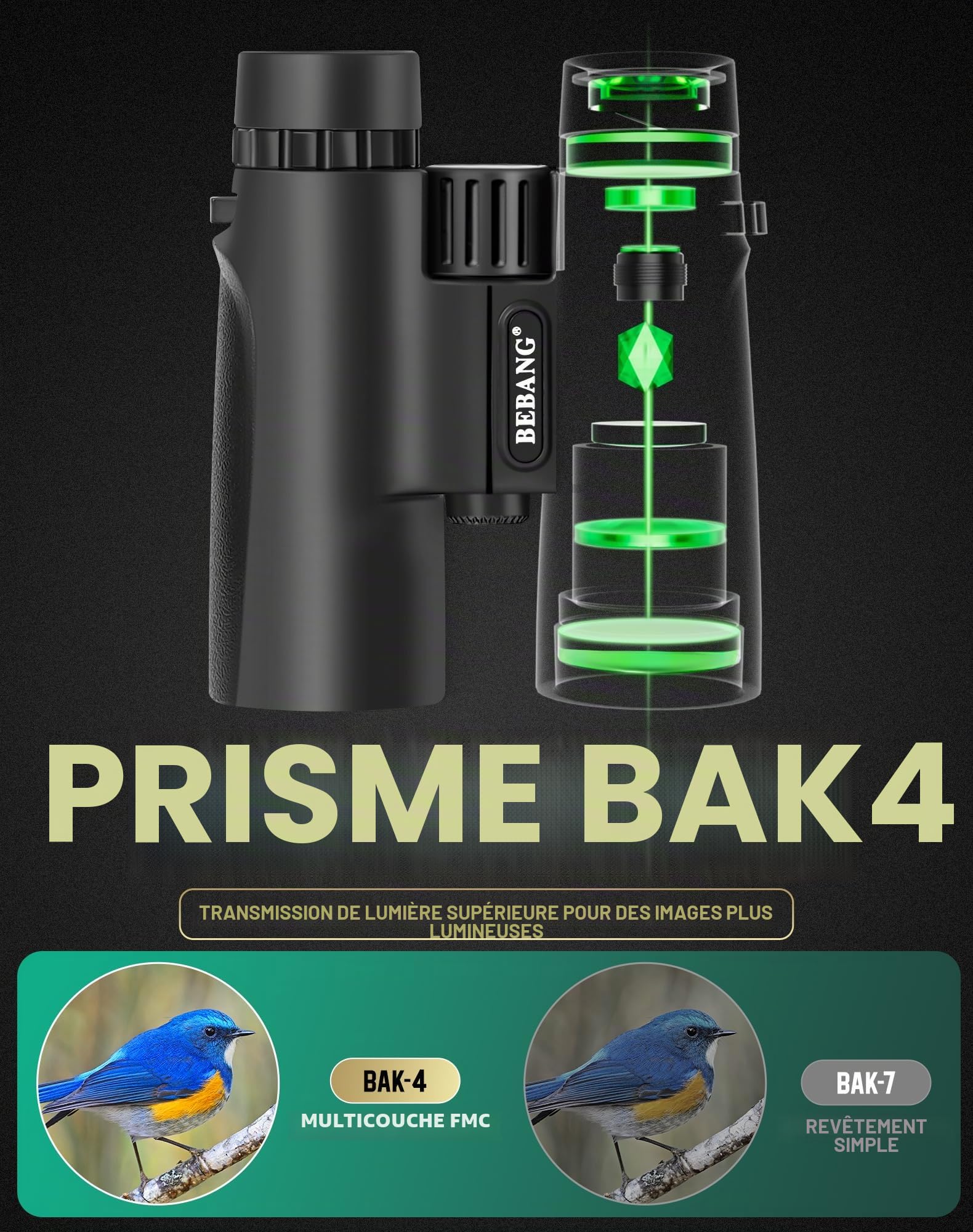 BEBANG Jumelles pour Adultes Puissante 10x42 Jumelles Bak4 Prism, FMC Lentille, Imperméable pour Observation des Oiseaux Voyage Observation de Chasse Les Concerts