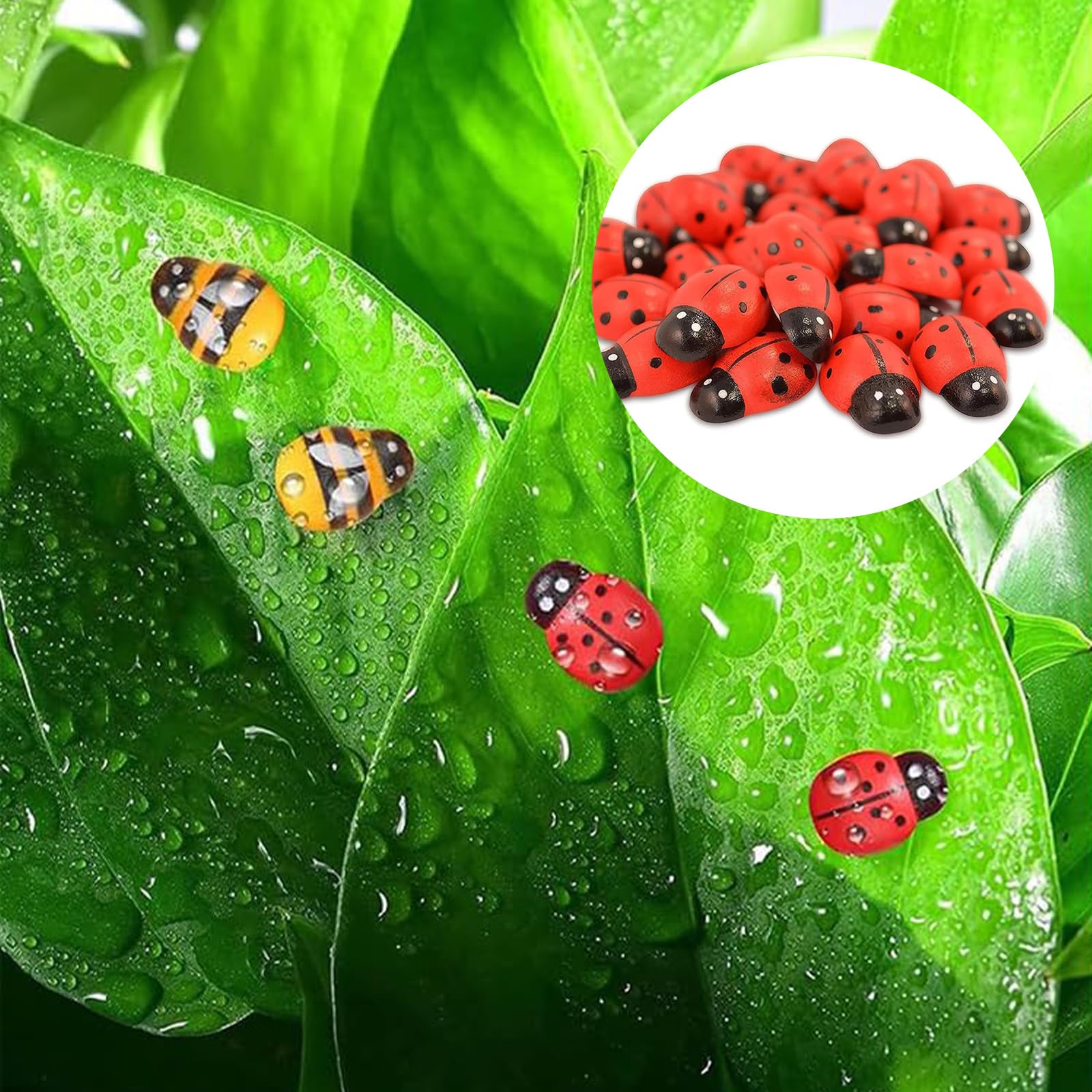 100 Coccinelle In Legno Autoadesive - Decorazioni Per Giardino, Scrapbooking E DIY 10x13mm - Foto 6