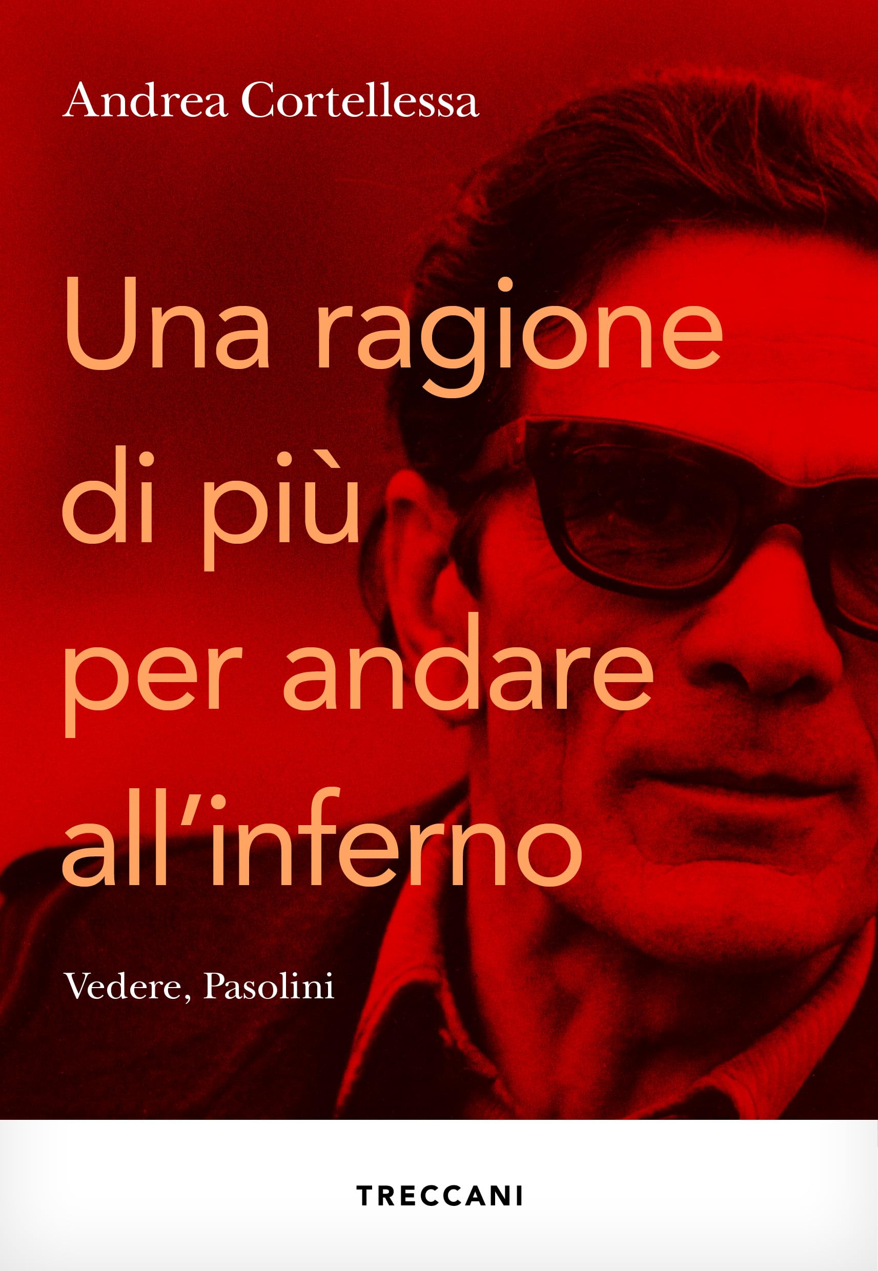 Livre Pasolini Visioni édition italienne pour collectionneurs de cinéma