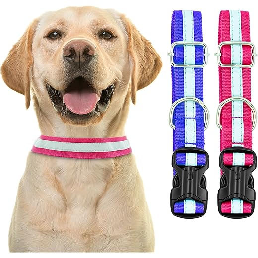 Buraq Pets Reflective Dog Collar 2 Pcs