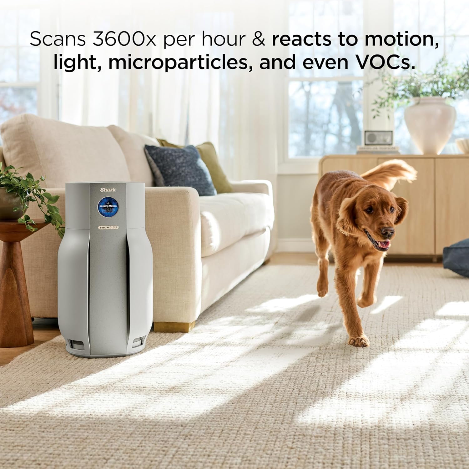 Shark BreatheClear™ MAX with NeverChange, Intelligent Air Purifier for Home, Large Rooms, HEPA-Exceeding for Dust, Dander, Smoke, and More, Zero Filter Changes, Dove (2026), HP362