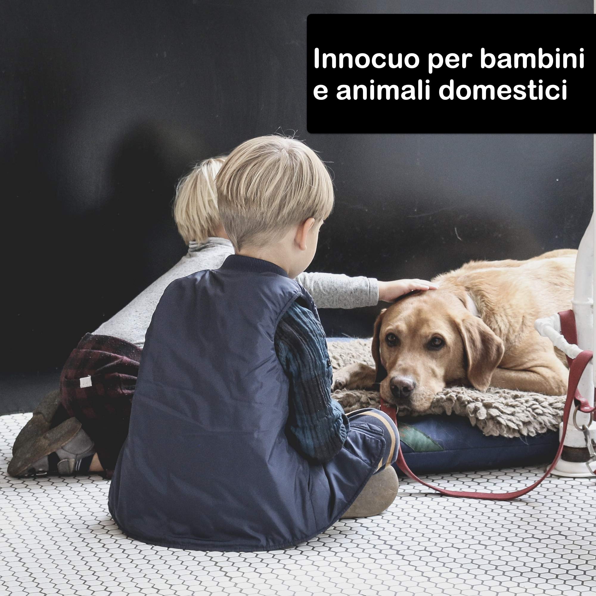 VEBI Fumigante insetticida antitarlo Duracid | Antitarlo per Legno 2X 11g | Insetticida per disinfestazione Insetti Volanti e striscianti | Permetrina antitarlo