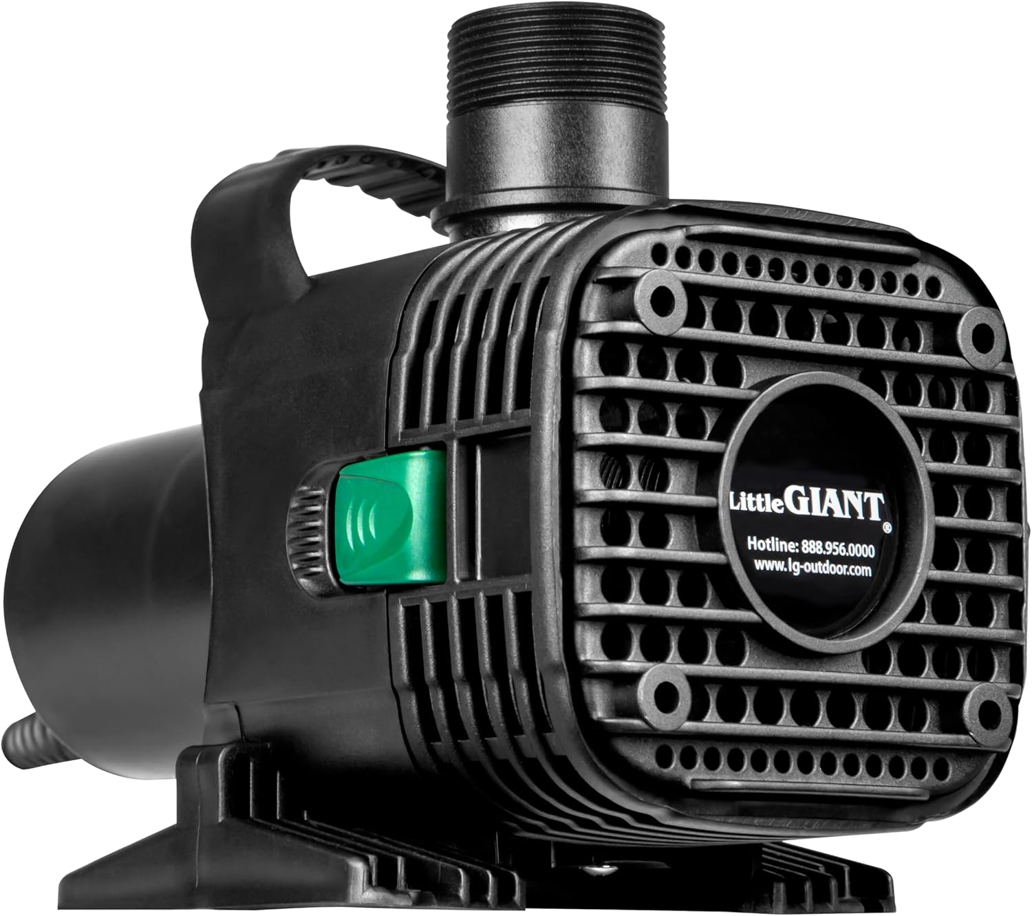 Afternoon Savings Made Just For You!