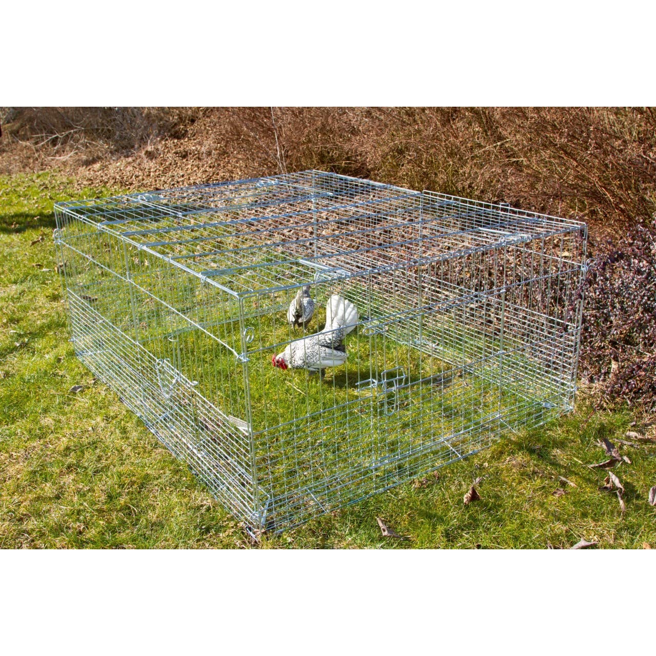 Kerbl Pet Recinzione Esterna per roditori Giovani Animali, 144X112X60cm