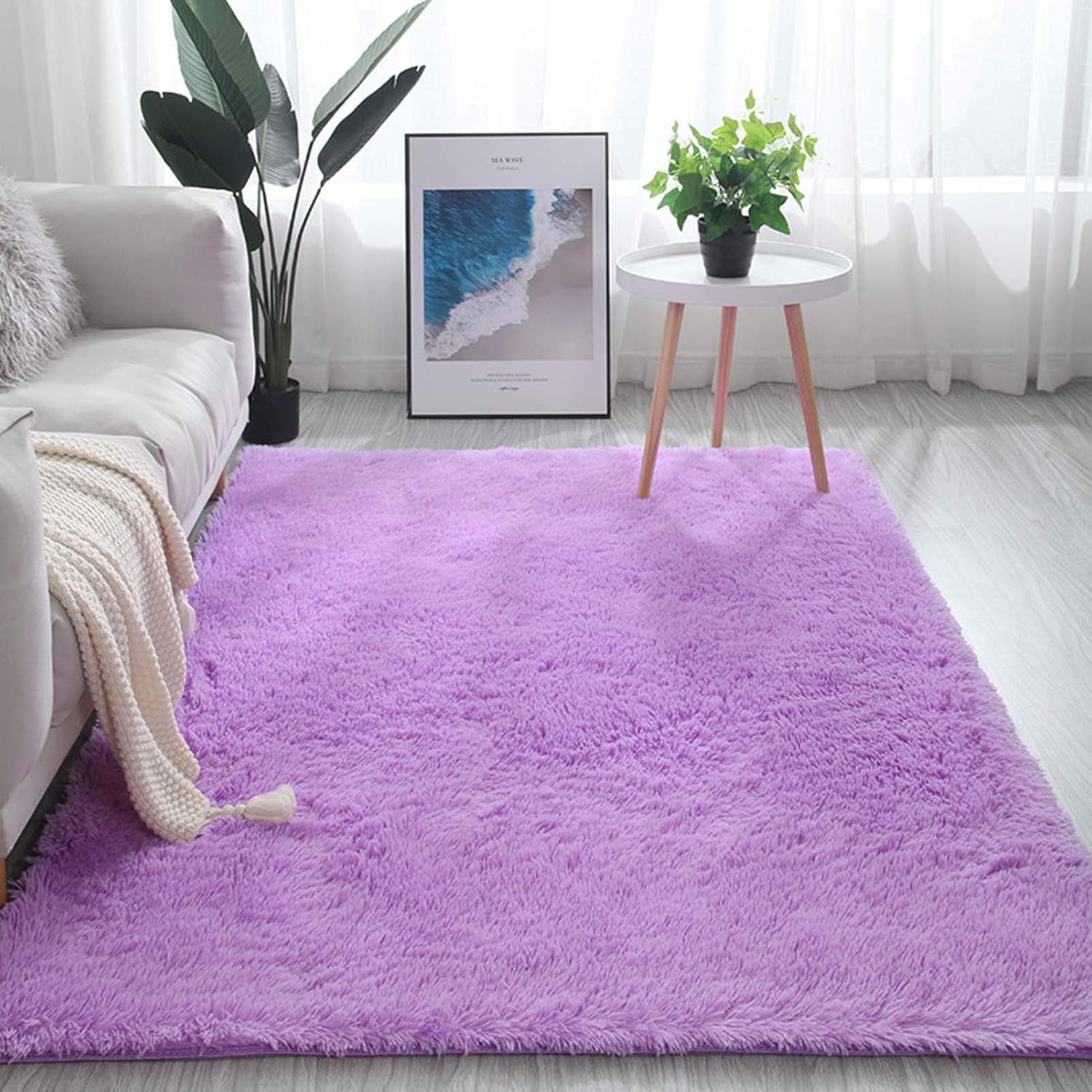 Luxury Fluffy Area Rugs 20 x 31 inch, Ultra Soft Shaggy Rug Plush Plush Carpet for Bedroom Kids Girls Boys Baby Living Room, Anti-Slip Floor Mat