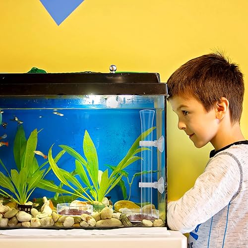 Miniatura 6 de Juego de 3 tubos y platos de alimentación de camarones, incluye tubo de alimentación de camarones de vidrio y 2 cuencos para acuario, suministros de