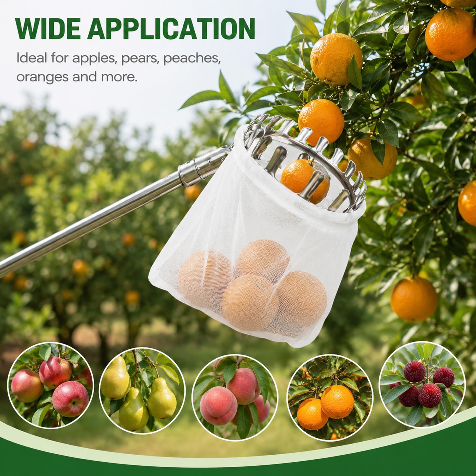 Idota 4,65m Obstpflücker mit Teleskopstiel, Ø 16cm Apfelpflücker mit Teleskopstiel Edelstahl Kirschenpflücker mit Baumwollbeutel Flaumenpflücker mit Sammelbeutel Pflückhilfe für Birnen Citrus Orange