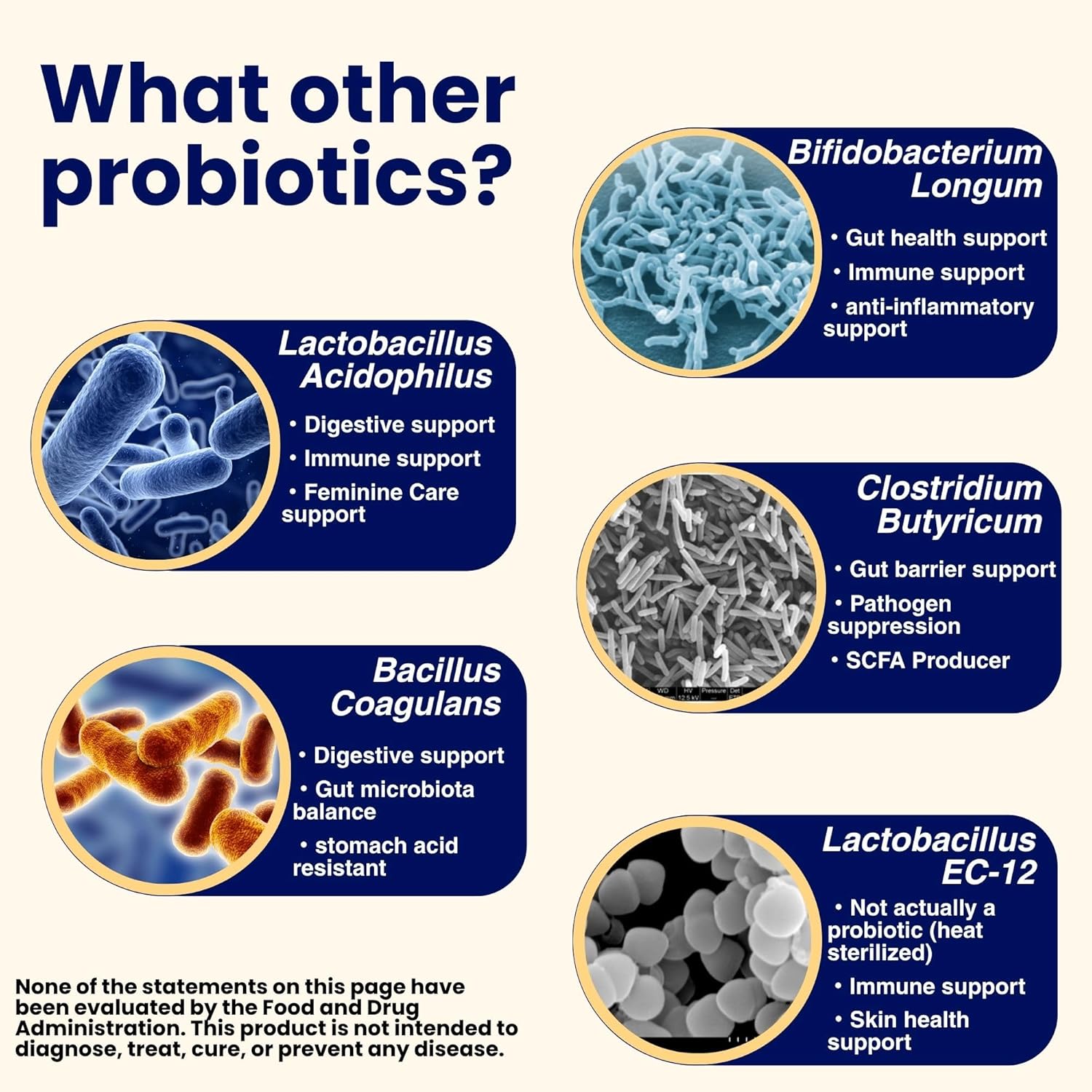 Pro Mix Kefir Probiotic Supplement with 12 Strains + Prebiotics for Gut & Immune Health | Travel-Friendly Powder Packs (30ct). - Image 4