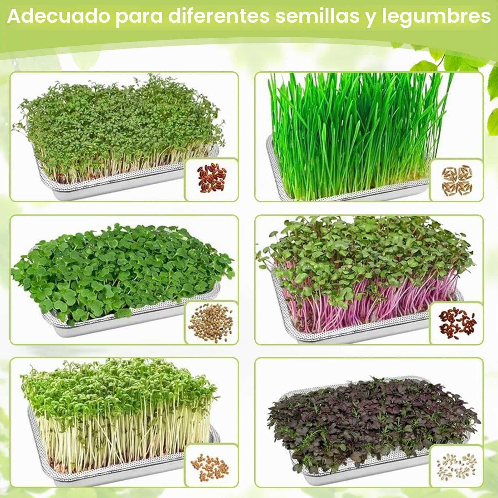 2 in 1 Bandejas de Germinación en Acero Inoxidable con Bandeja Colador, 32 x 22 cm Germinador de Semillas para el Cultivo de Brotes Bio, Hierba de Gato, Berros, Cultivo Hidropónico