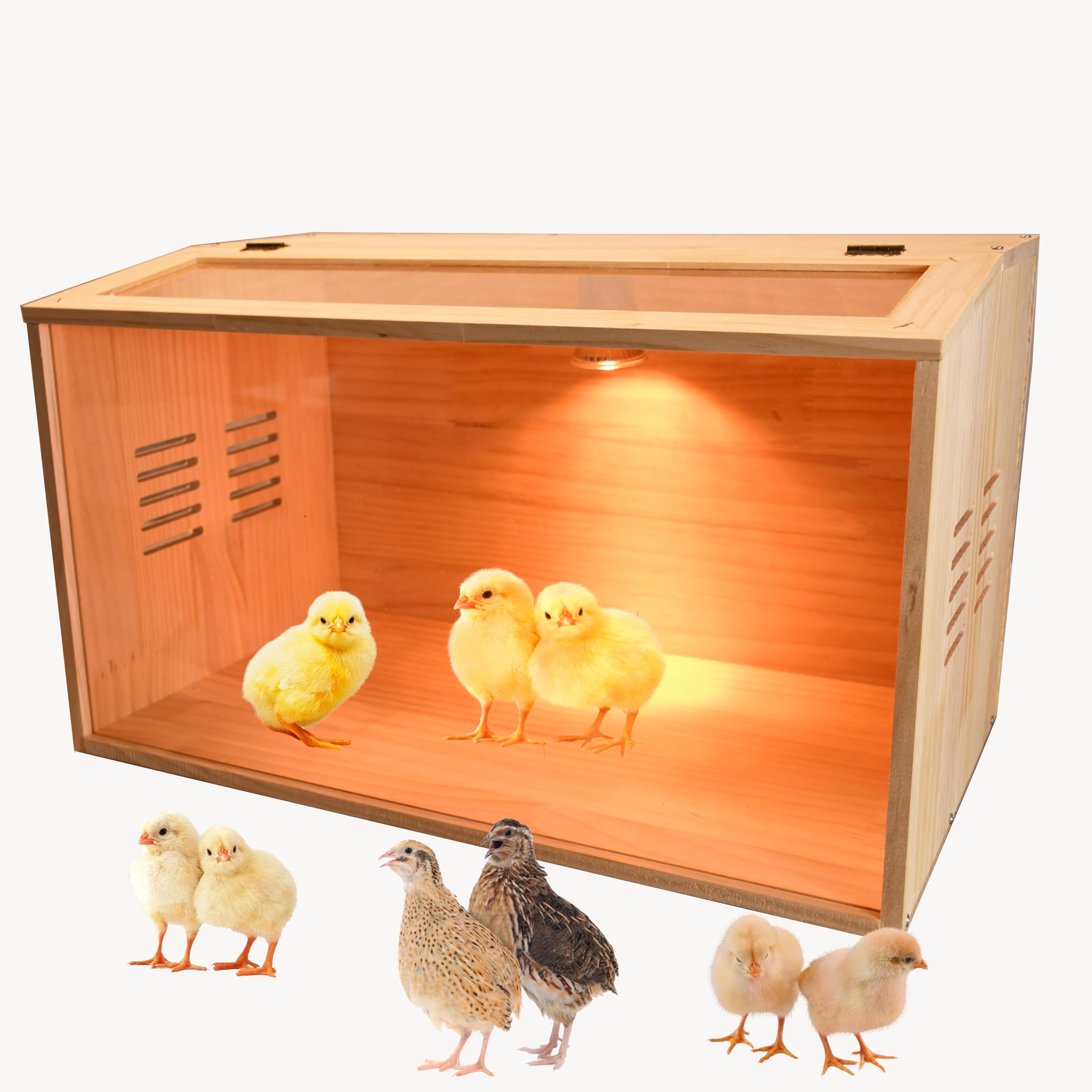 Photo 1 of Brooder Box for Chicks,5-12 Chicken Brooder Heater, Chicken Brooders for Baby Chicks with Heaters Poultry Heater for Chicks Ducks Quail Birds 19.7*12*12 inch