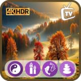 Autumn Healing Ambience TV - Cozy Fall Scenes with a Clock & Weather