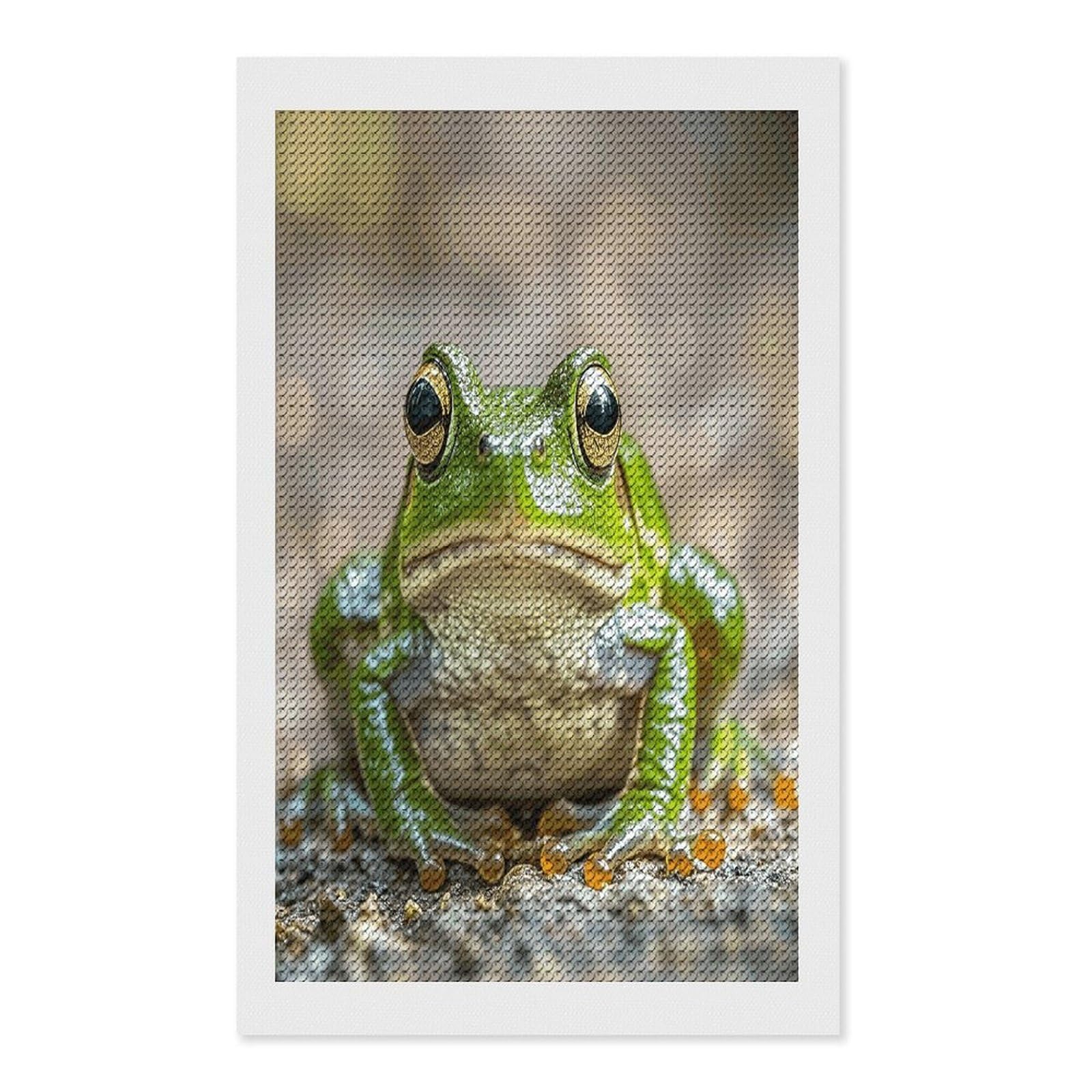 FekiLoot Cute Frog Diamond Painting Kits for Beginners DIY Diamond Art Kits for Adults Full Drill Round Diamond Dot Gem Art Painting Fun DIY Crafts for Home Kitchen Wall Decor Gift 12"x20"