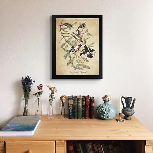 Vista 96 de Towee Bunting by James Audubon - Marco biselado negro de 12 x 16 pulgadas, decoración artística enmarcada para pared, reproducción de pinturas