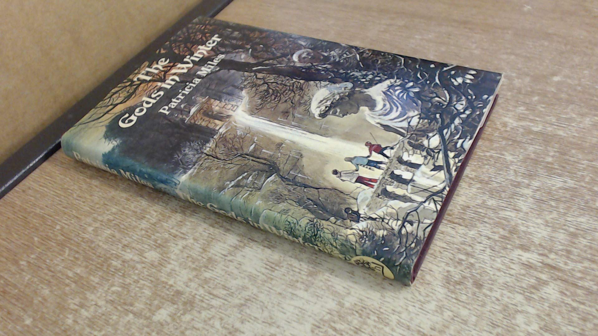 Cover of The Gods in Winter