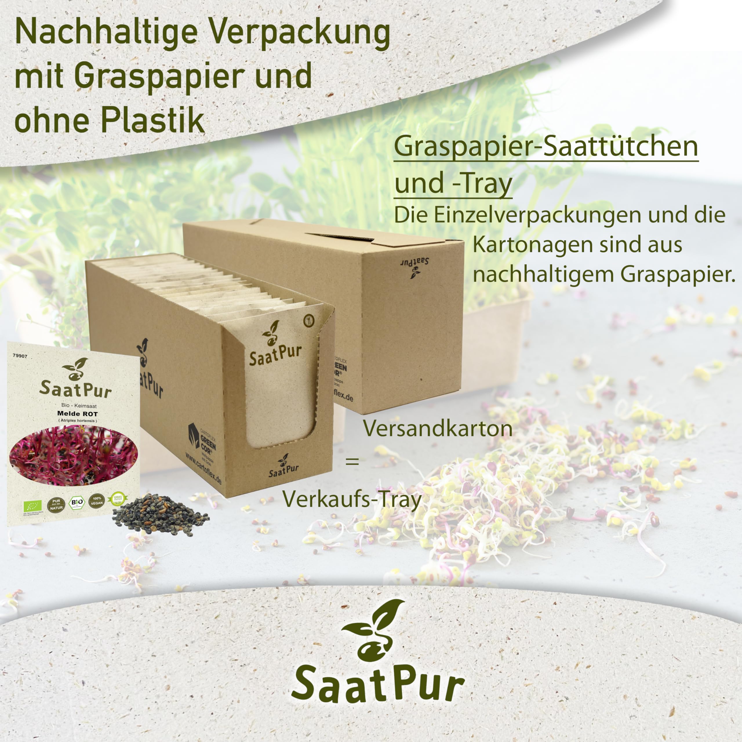 SaatPur® Saatgut Bio-Keimsprossen Melde Rot 5g, hohe Keimkraft, Micro-Greens für vitaminreiche - Großes Tray mit 100 Portionstüten je 10g