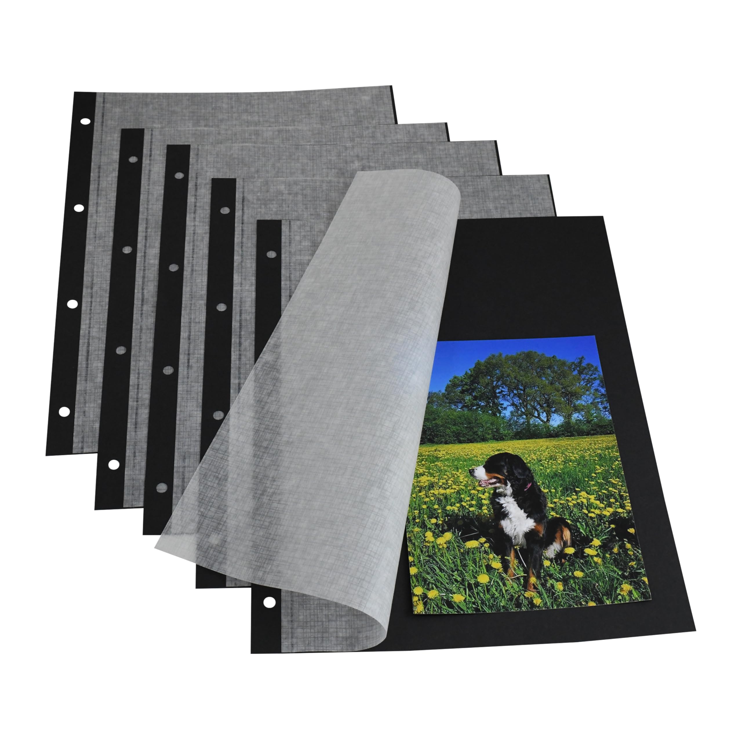 MASHPAPER Kartony fotograficzne, czarne, 230 g/m², 23,2 x 29,7 cm, z pergaminową kartą ochronną, 4-krotne dziurkowanie, arkusze do albumu fotograficznego, 100 arkuszy