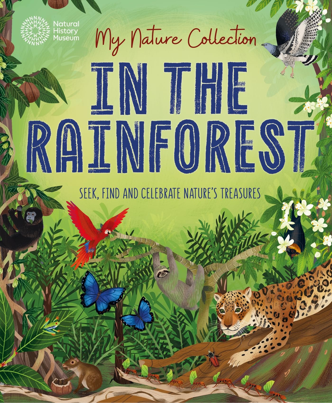 In the Rainforest: Seek, find and celebrate nature's treasures with the Natural History Museum (My Nature Collection)