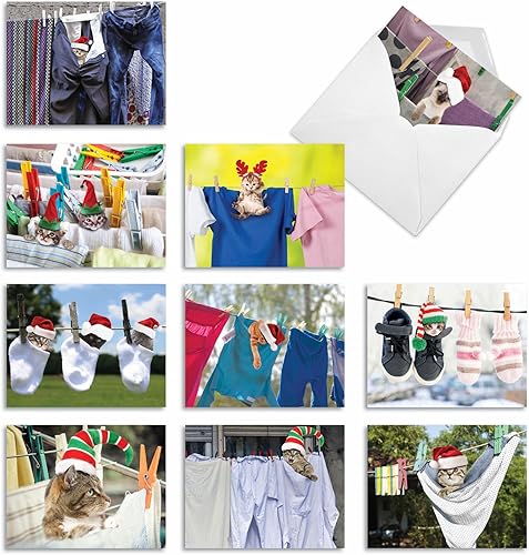 Miniatura 8 de The Best Card Company - 10 tarjetas de felicitación de la temporada de gatos - Tarjetas de notas de animales de Navidad, juego de vacaciones surtido