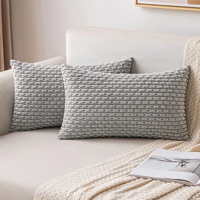 MIULEE Poszewka na poduszkę dekoracyjna, aksamitna prążkowana, kwadratowa sofa, super miękka, nowoczesna poszewka na poduszkę, do salonu, sypialni, na krzesło biurko, 30 x 50 cm, zestaw 2 sztuk jasnoszara