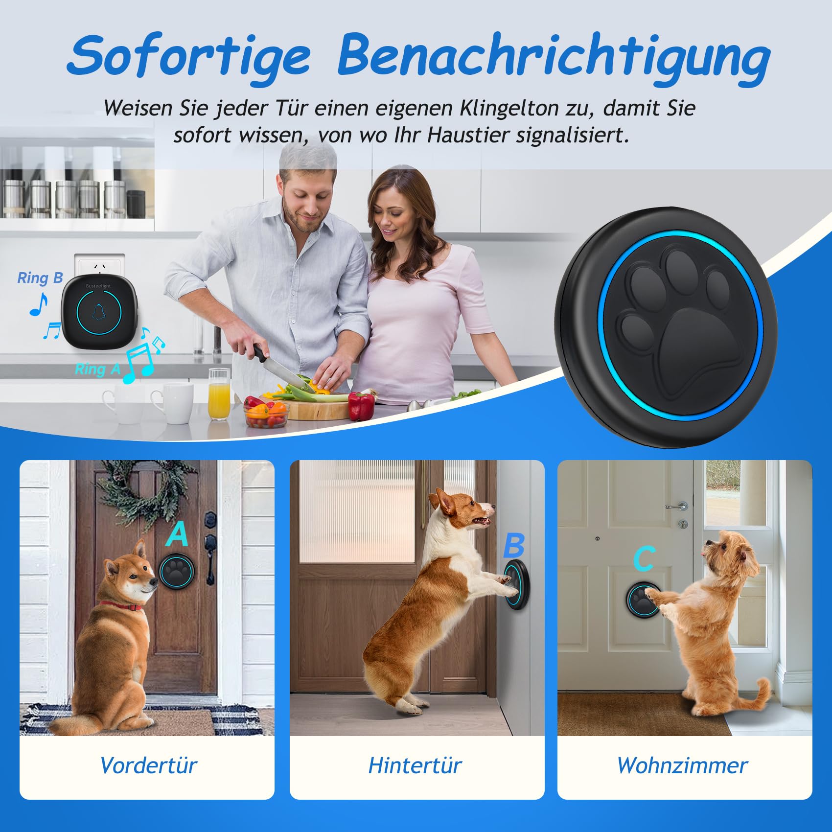 A6 Blk Katzen- & Hundeklingel für Tür – Kabellose Haustier-Türklingel, 300 m Reichweite, 60 Melodien, LED-Signal, Wasserdicht, Buzzer für Hund & Katze (1 Klingeltaster + 1 Empfänger)