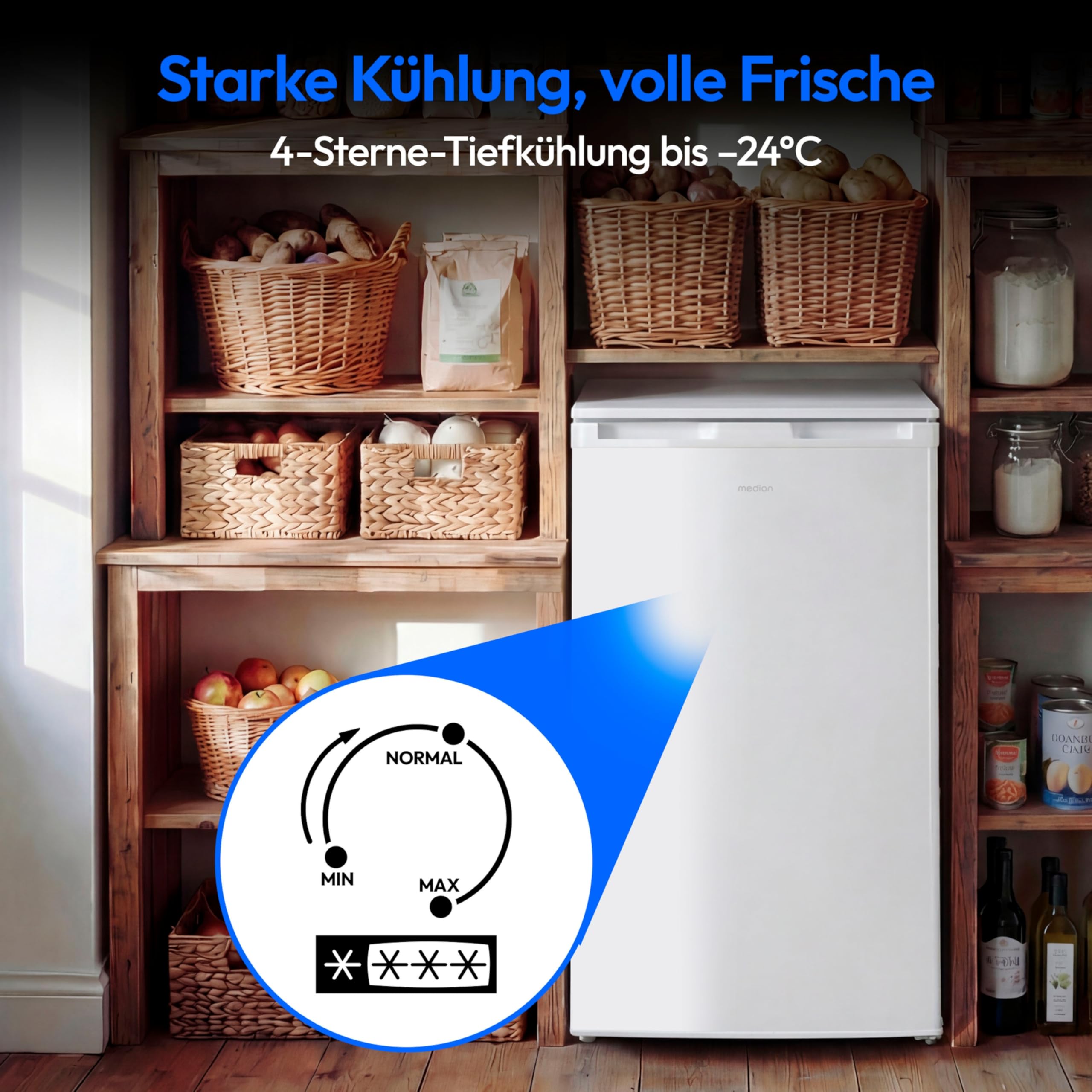 MEDION Gefrierschrank (64 Liter, 4-Sterne-Gefrierfächer, bis zu -25°C, Türanschlag wechselbar, höhenverstellbare Füße, 85cm Höhe, MD 37688) weiß