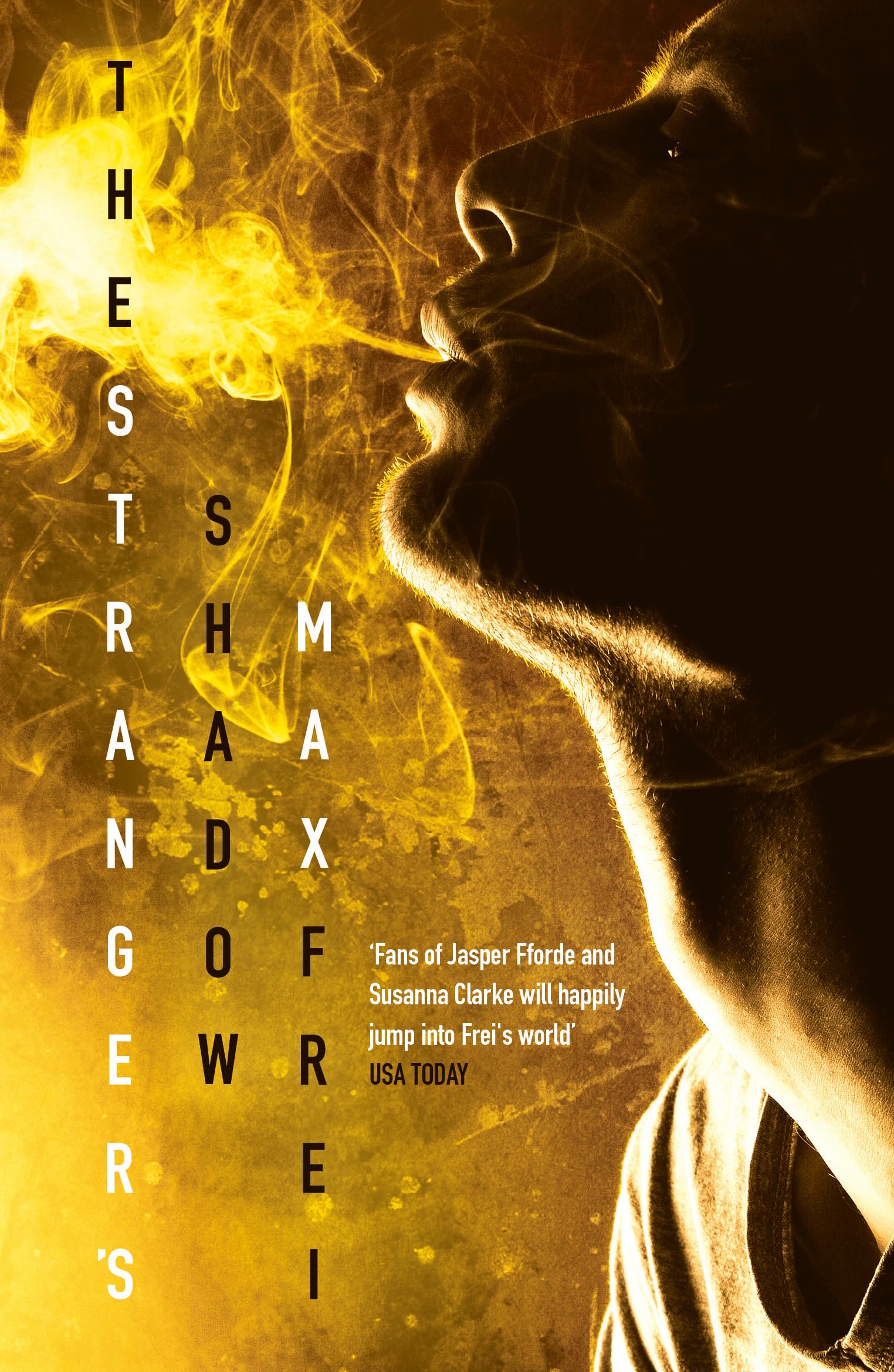 The Stranger's Shadow: The Labyrinths of Echo: Book Four