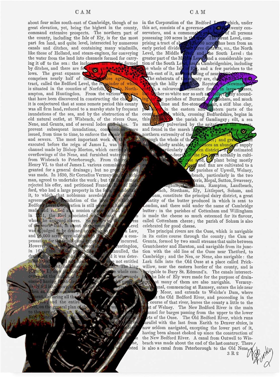 Amazon.co.jp 商標ファインアート、14x19 Tuba and Fish by Fab Funky ホーム＆キッチン