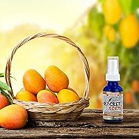 Vista 8 de Rocket Scent - Ambientadores de aceite + eliminador de olores y humo + desodorante para el hogar, automóvil, oficina, baño (aromas elevadores)