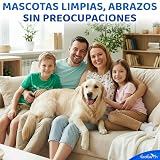Ver la foto 8