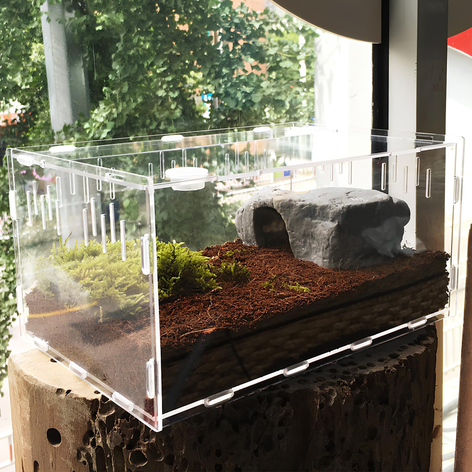 Terrarium à Escargots, Récipient en Acrylique d'Insecte, Terrarium Transparent pour Lézards, Terrarium pour Reptiles, Habitat Portable pour Reptiles et Amphibiens, Grenouilles, Scorpions (20×12×12cm)
