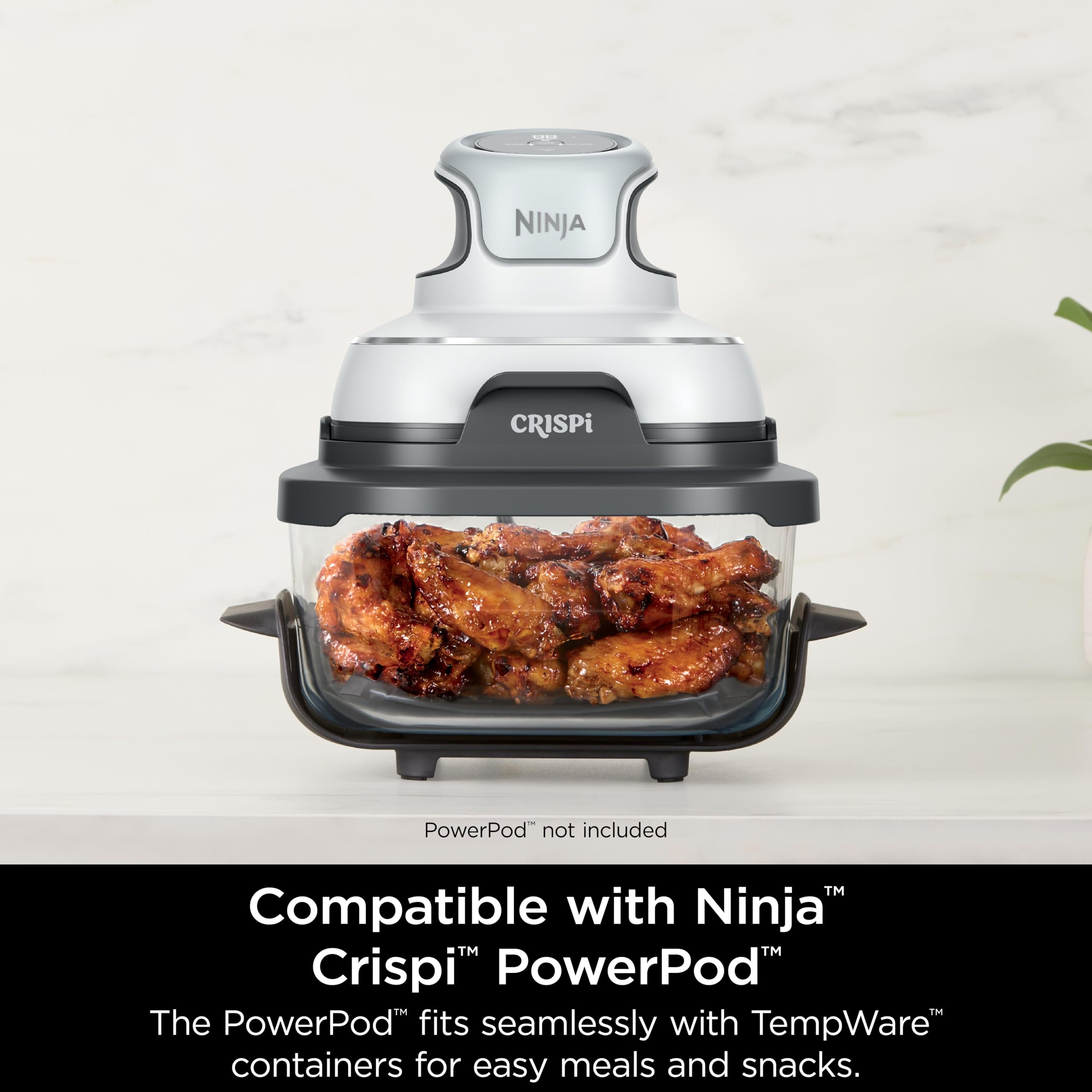 Ninja Contenedor de cristalería TempWare de 4 cuartos con tapa de almacenamiento, sistema de cocción portátil Crispi compatible, apto para microondas, congelador y lavavajillas, superficie de cocción