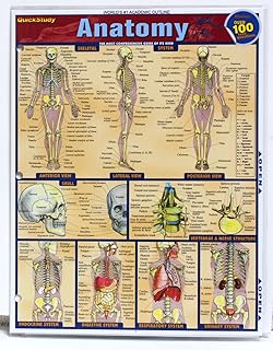 Quick Study Laminated Reference Guide - Anatomy