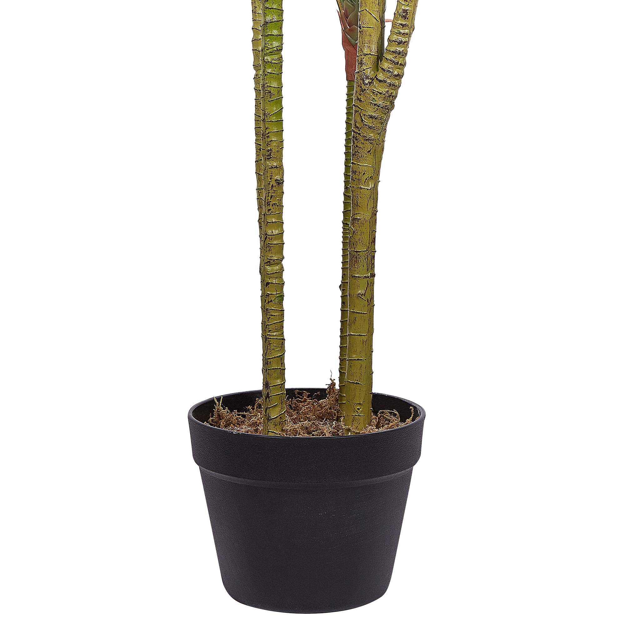 Beliani Dekorative Kunstpflanze in Drachenbaum-Form mit Topf 147 cm grün Dracaena Anita