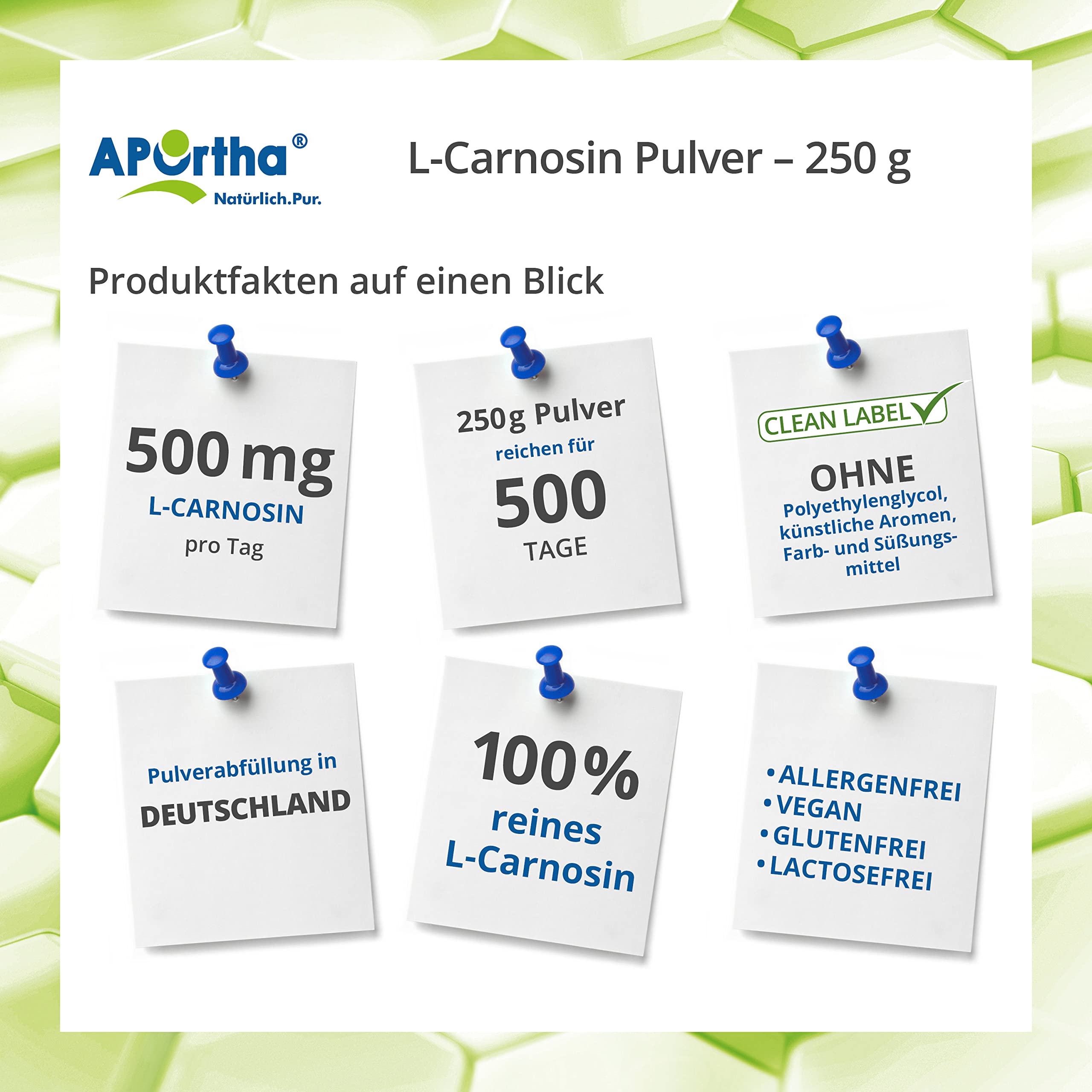 APOrtha® L-Carnosin, 250 g Pulver vegan aus 100% reinem L-Carnosin | Hochdosiert mit 500 mg L-Carnosin je Tagesverzehr, 250g Pulver für 500 Tage, vegan, glutenfrei, allergenfrei