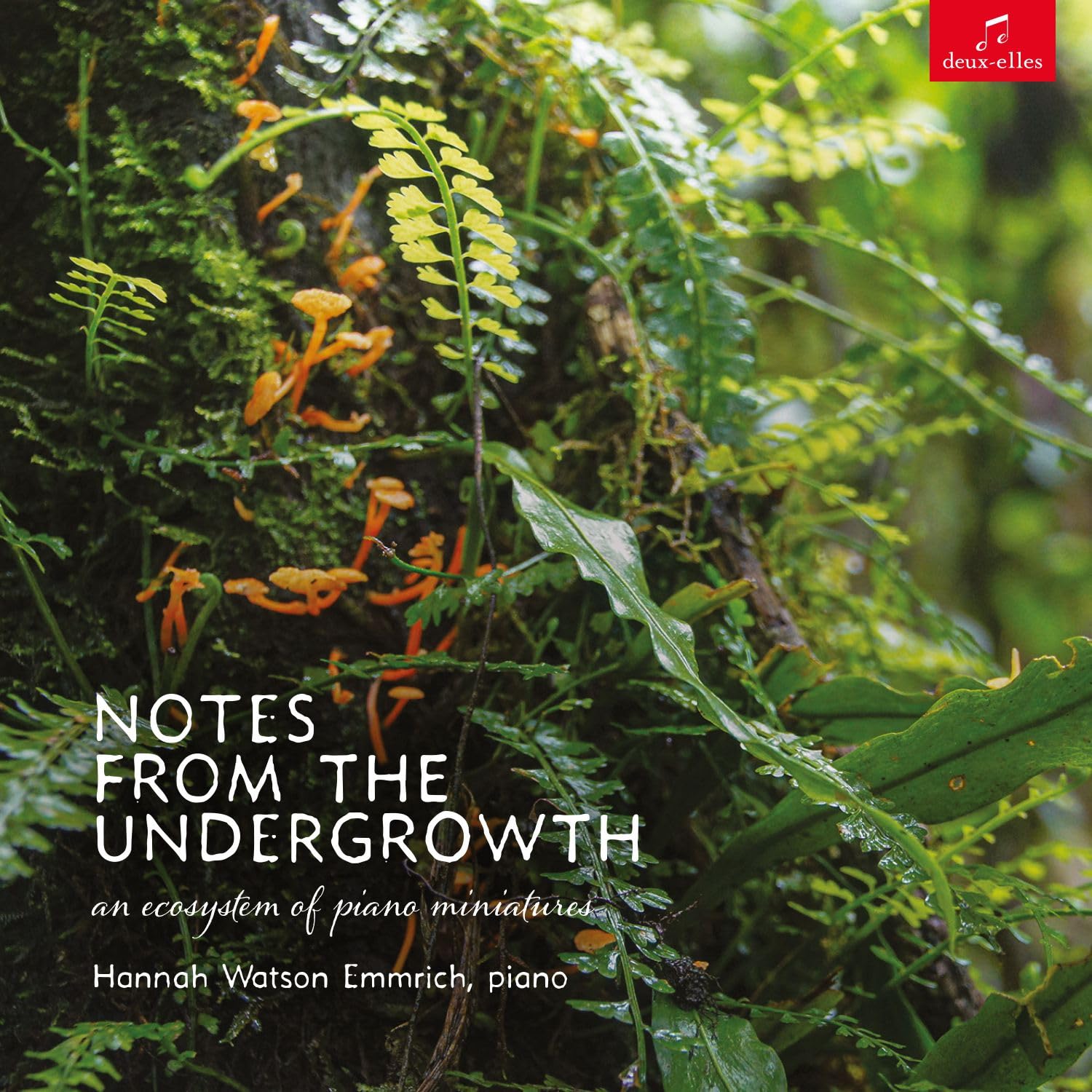 Notes from the Undergrowth - An ecosystem of piano miniatures