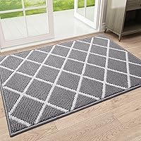 Finchitty Indoor Door Mat 32x20 Grey - Absorbent, Dirt Resistant, Non-Slip Low-Profile Washable Entry Rug
