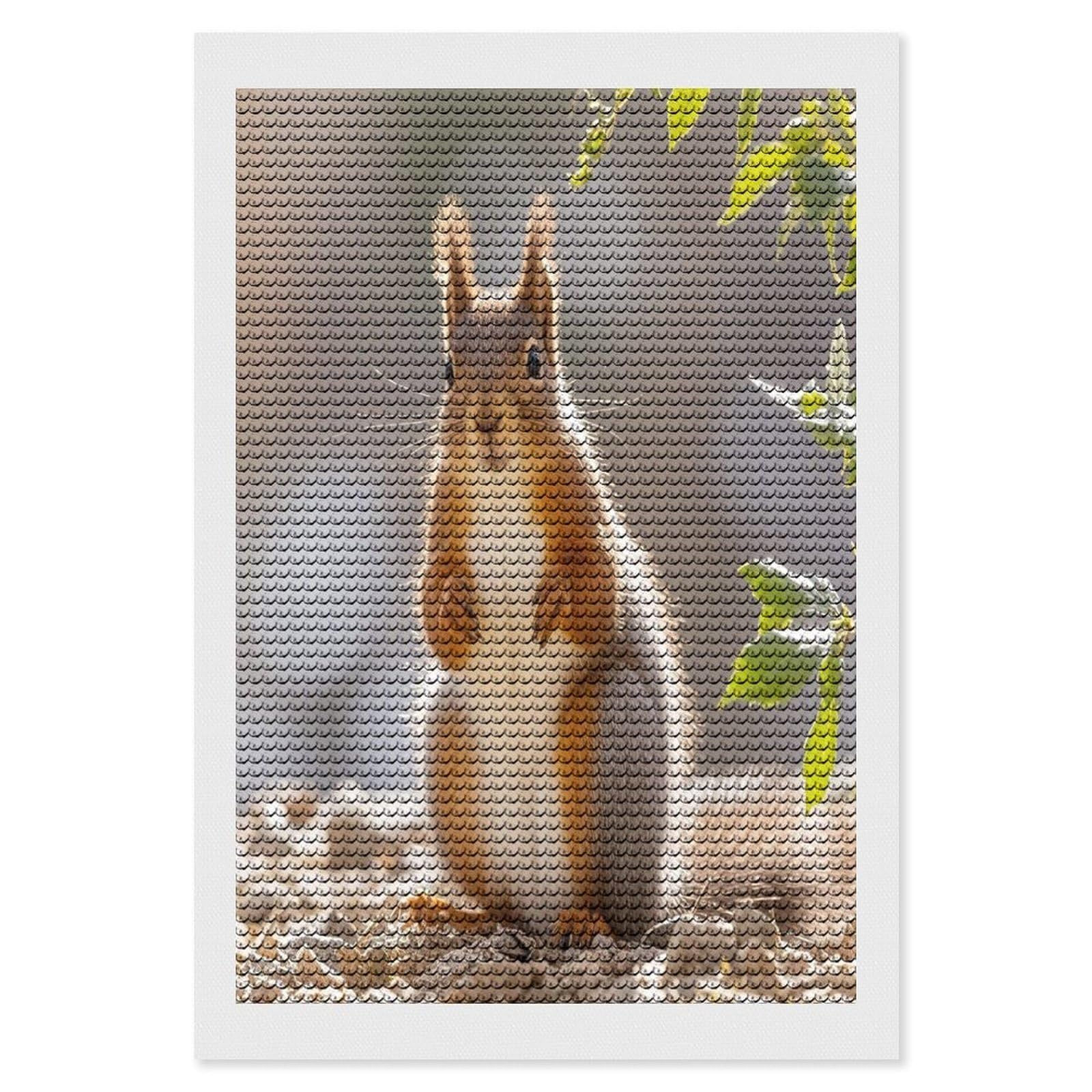 FekiLoot Squirrel Funny Animal Diamond Painting Kits for Adults Round Paint with Diamonds Pictures Gem Art Painting Kits Personalized Diamond Art Full Drill for Beginners Home Wall Decor