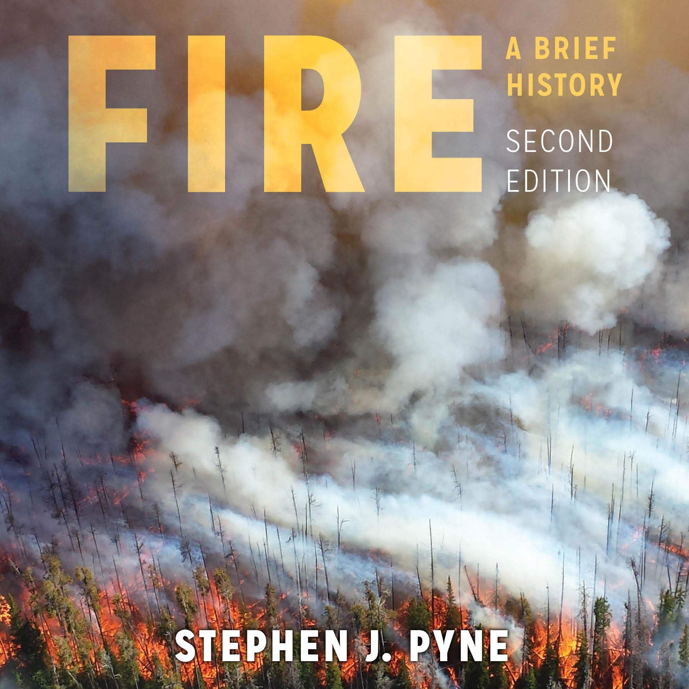 Cover art for Fire: A Brief History