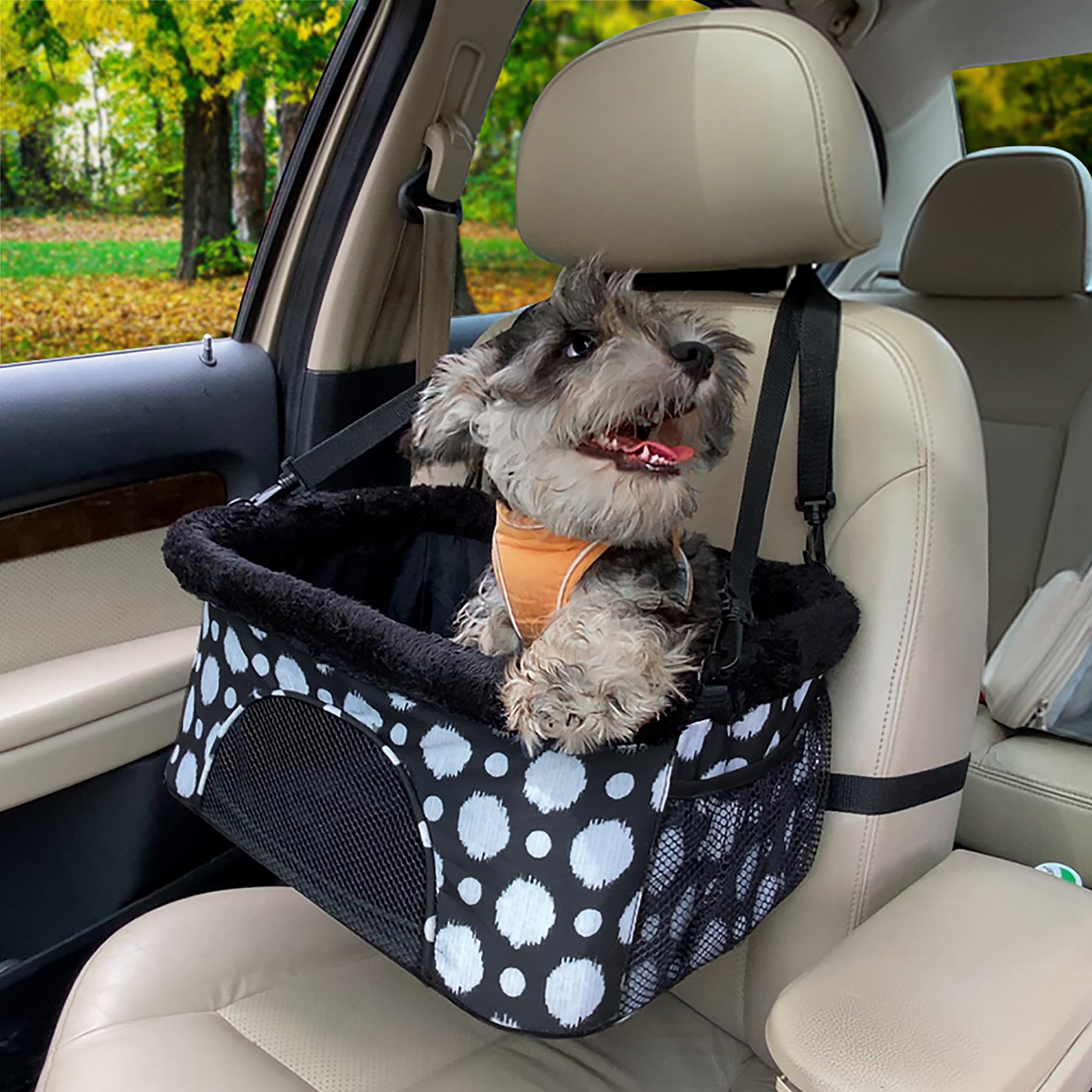 Amazon.co.jp: ROODO 犬のための車のドライブボックス猫と犬のための車