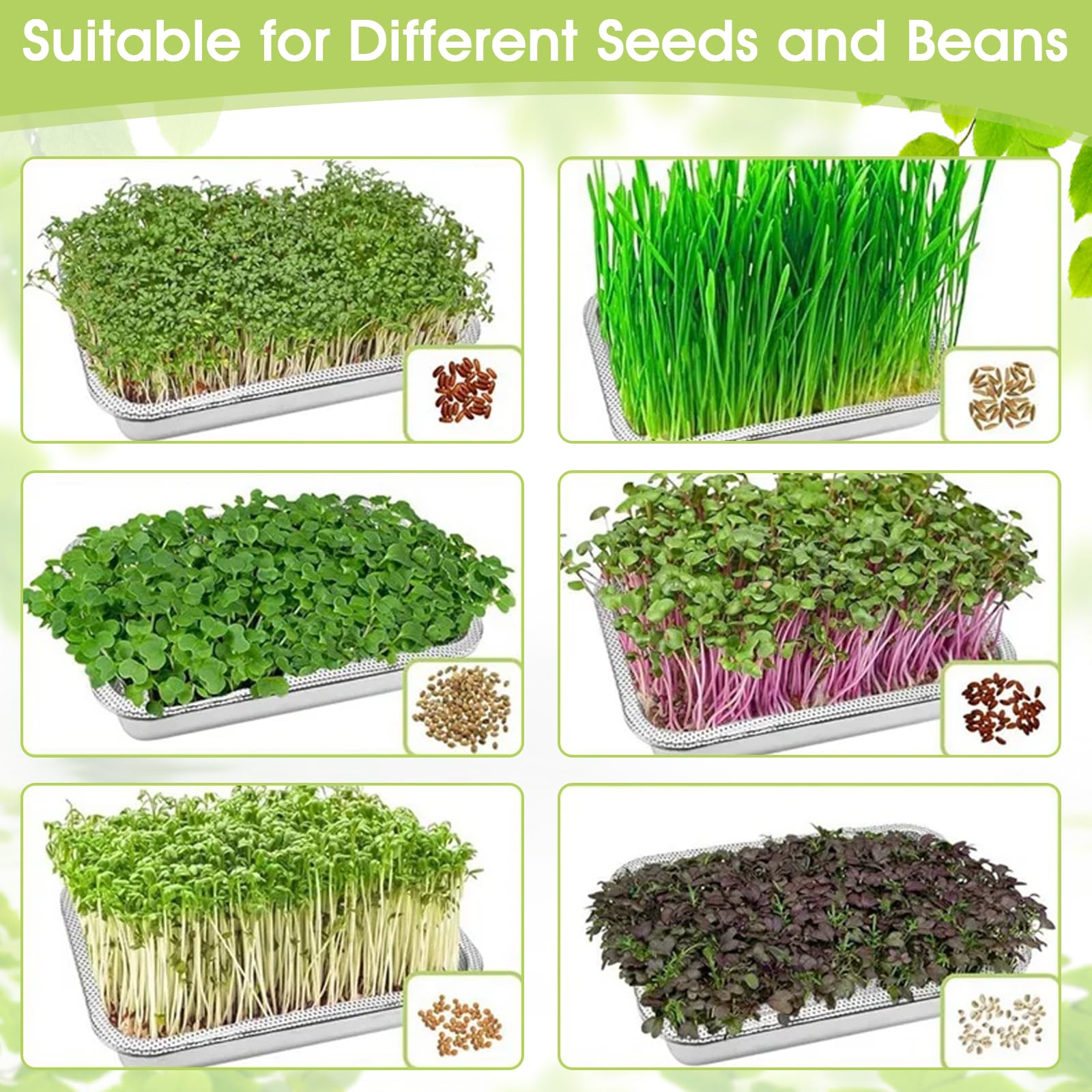 2er Set Sprossen-Anzuchtset mit Edelstahlsieb, 32x22 cm Keimschalen Set zur Anzucht von Sprossen, Katzengras, Kresse & Microgreens, Profi Wiederverwendbare Hydrokultur-Anzuchtschale,Kresseschale