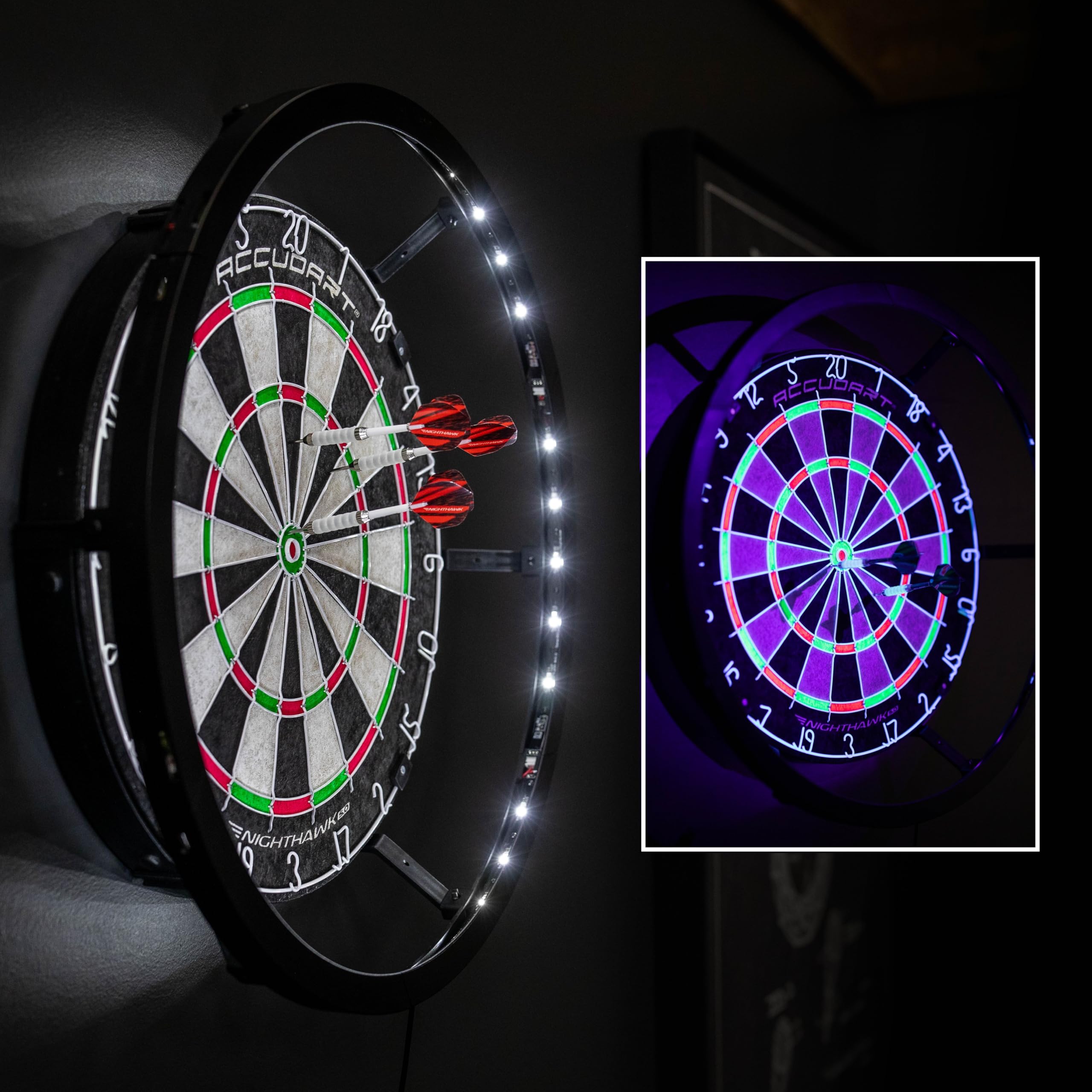 Accudart Nighthawk 2 in 1 LED/Blacklight Bristle Dartboard Surround Set - Official Size Dartboard - 360 Degree Lighting - Blacklight and Bright LED