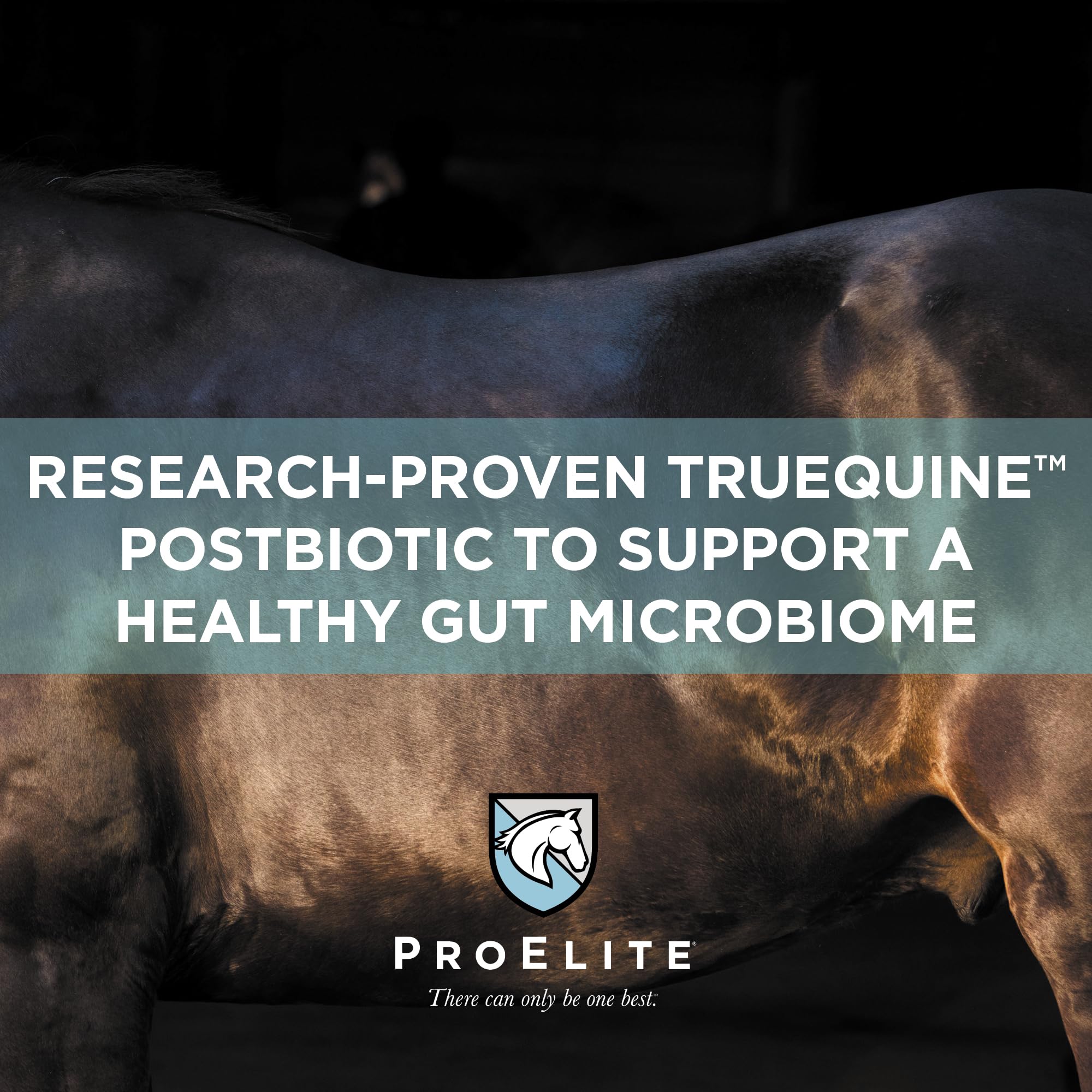Condition photo showing New/Like New for ProElite Gutbiome, Horse Probiotics Prebiotics & Postbiotics, 3 lbs