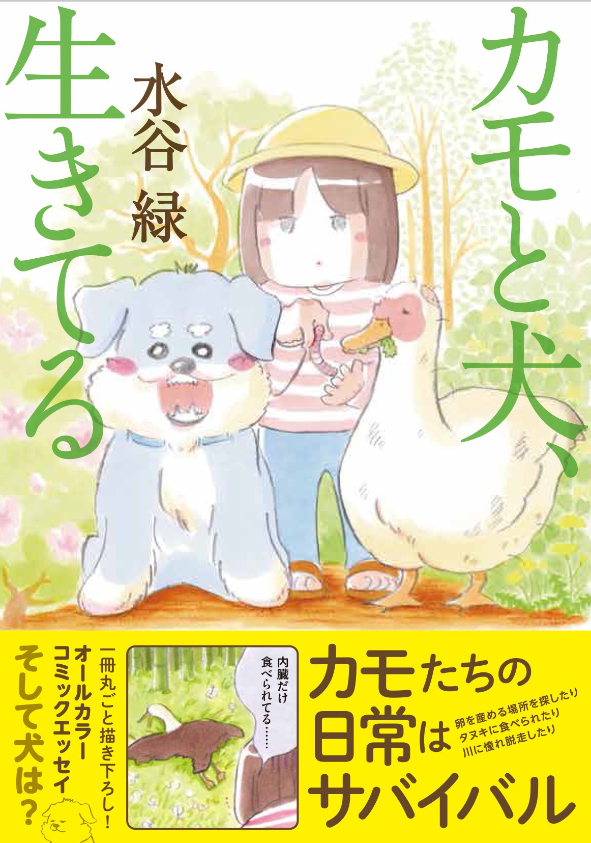 Amazon.com: 水谷緑: books, biography, latest update