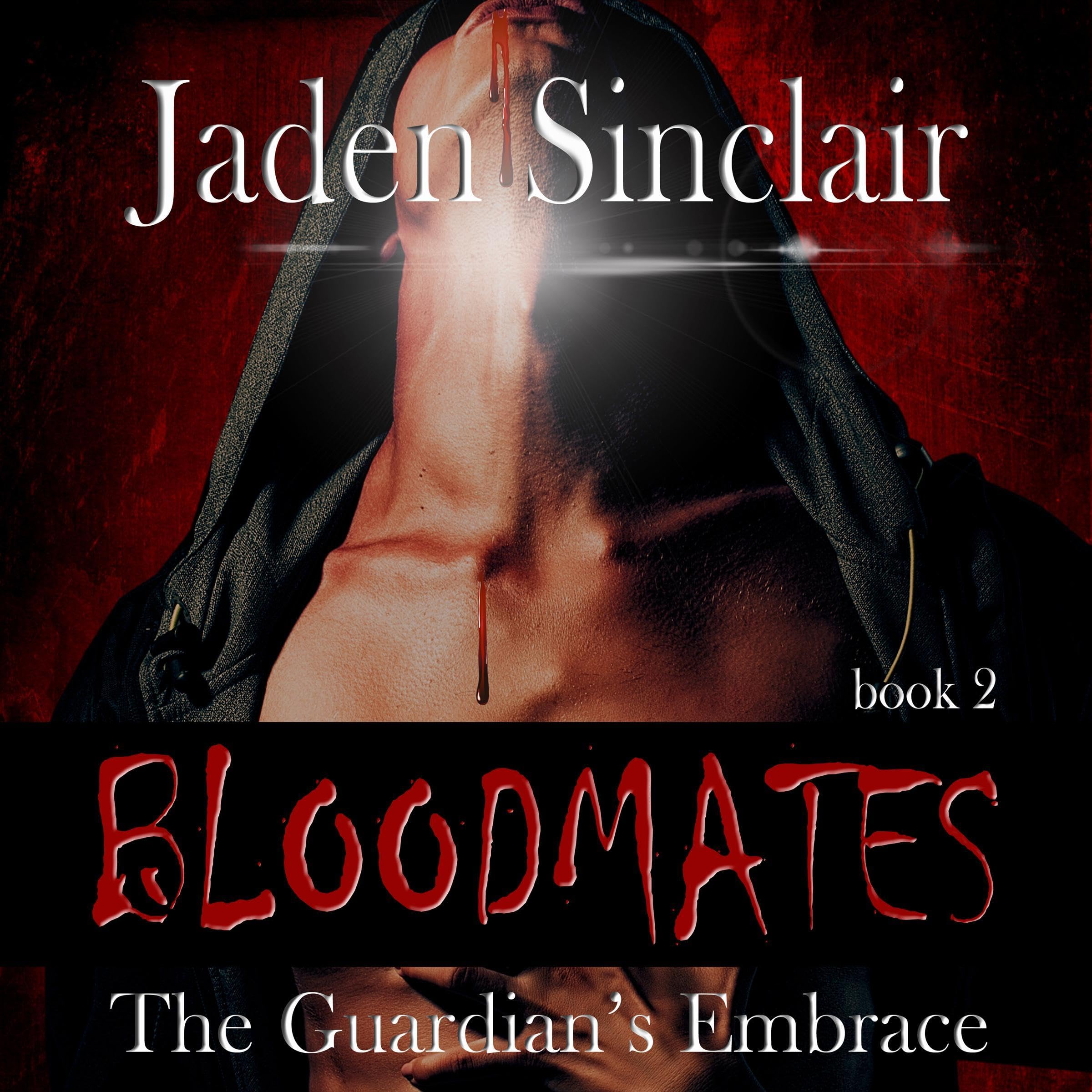 Cover art for The Guardian's Embrace