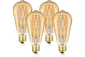 LEOOLS 100W LED Edison Bulb: Adorn Your Space with Vintage Charm