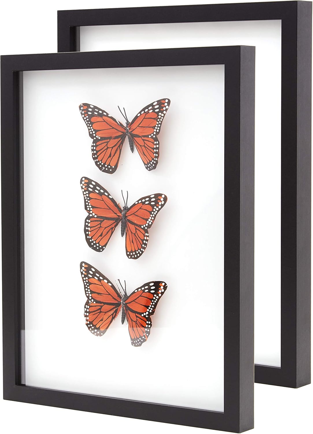 Super-Sturdy 11x14 Black Shadow Box Frame With Glass 2 Pk. Fill Large Wood Memory Box With Wedding Flowers, Jerseys, Cute Pet Photos, Ticket Stubs, or Medals. Great Seashell Display Case