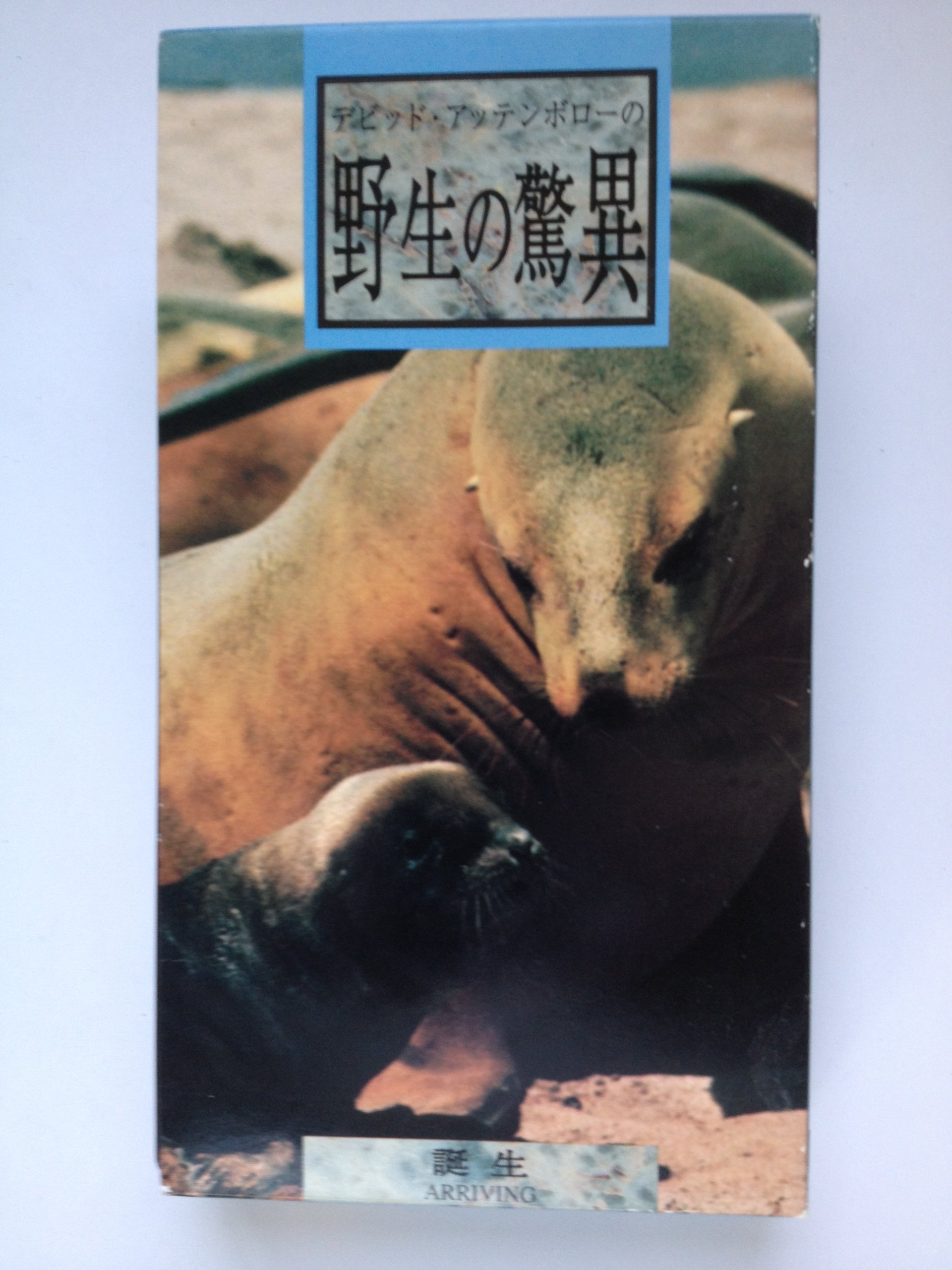 デビッド アッテンボローの野生の驚異 誕生 ビデオ Vhs The Trials Of Life デビッド アッテンボロー 総監督 ピーター ジョーンズ タイムライフ 本 通販 Amazon