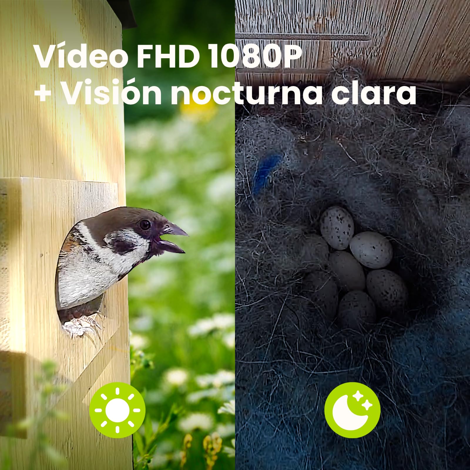 Birdfy Smart Casa para Pájaros con Doble Cámara 1080P, Nido de Bambú con Cámara y Visión Nocturna, Observación en Vivo, IA Análisis de Comportamiento, Notificaciones, Grabaciones Automáticas