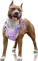 Vista 54 de BARKBAY Arnés para Perro Sin Tirones Talla Grande Arnés Reflectante para Perro con Clip Frontal y Asa de Control Fácil para Caminar Entrenar Correr